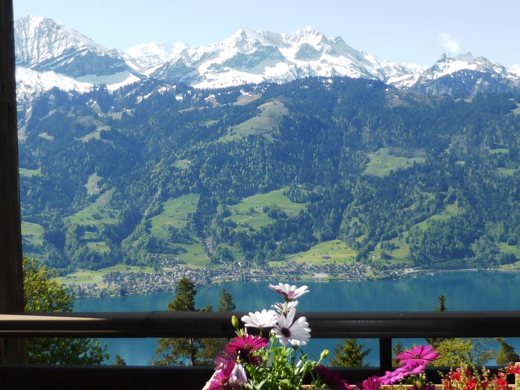 Double Room with Balcony and Lake and Mountain View