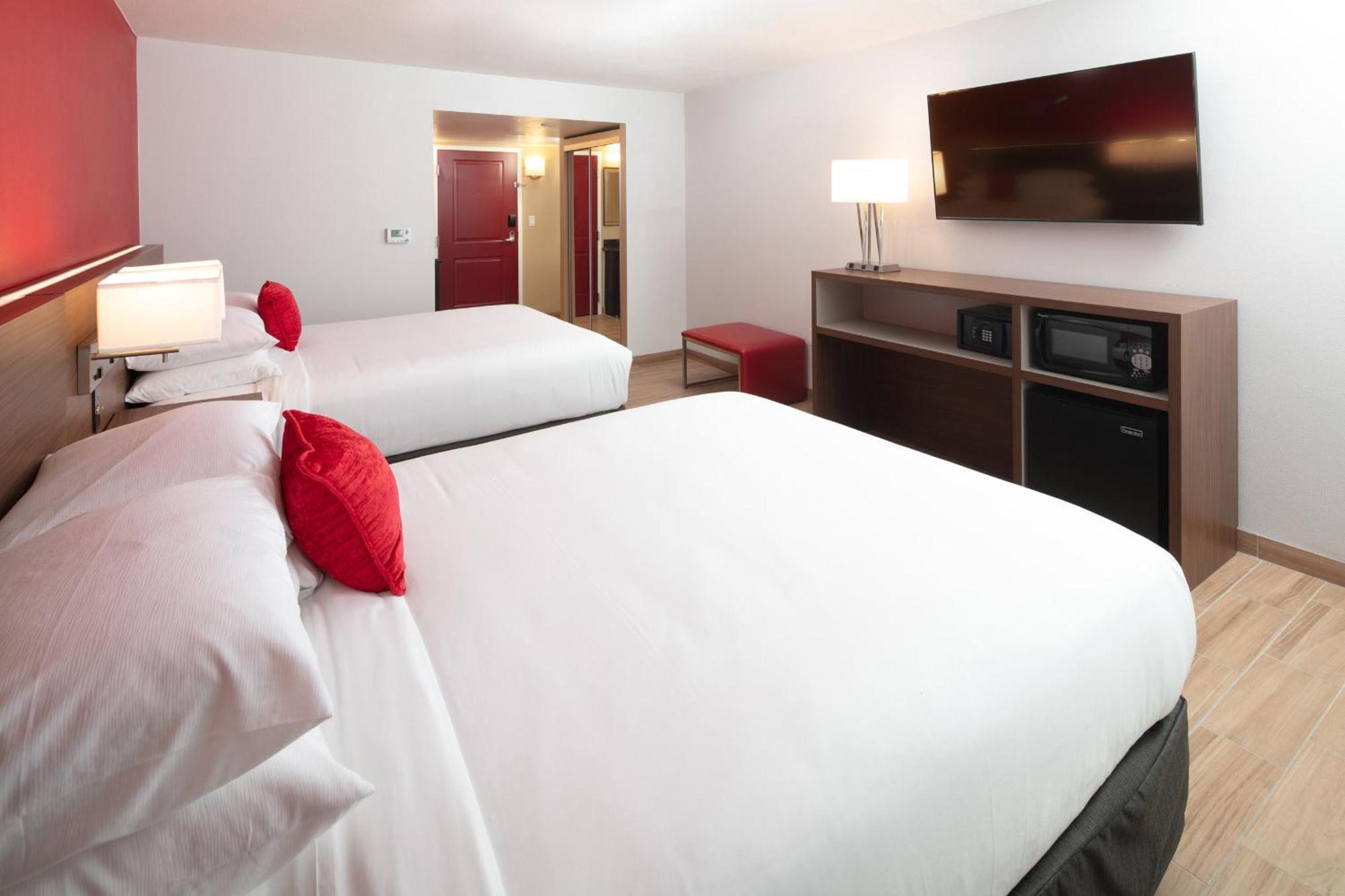 Habitación - No fumadores - Cama grande