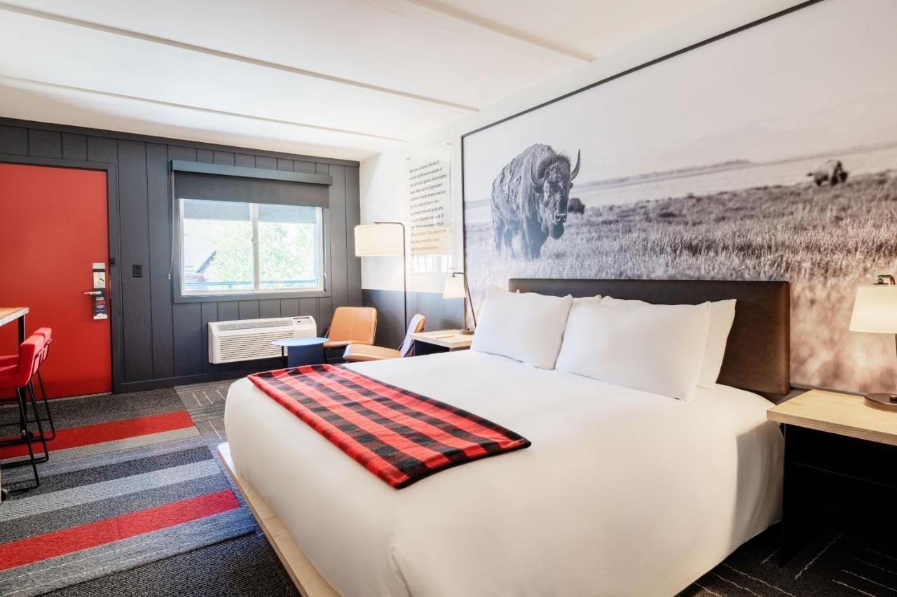 King Room,396956601:JPEG