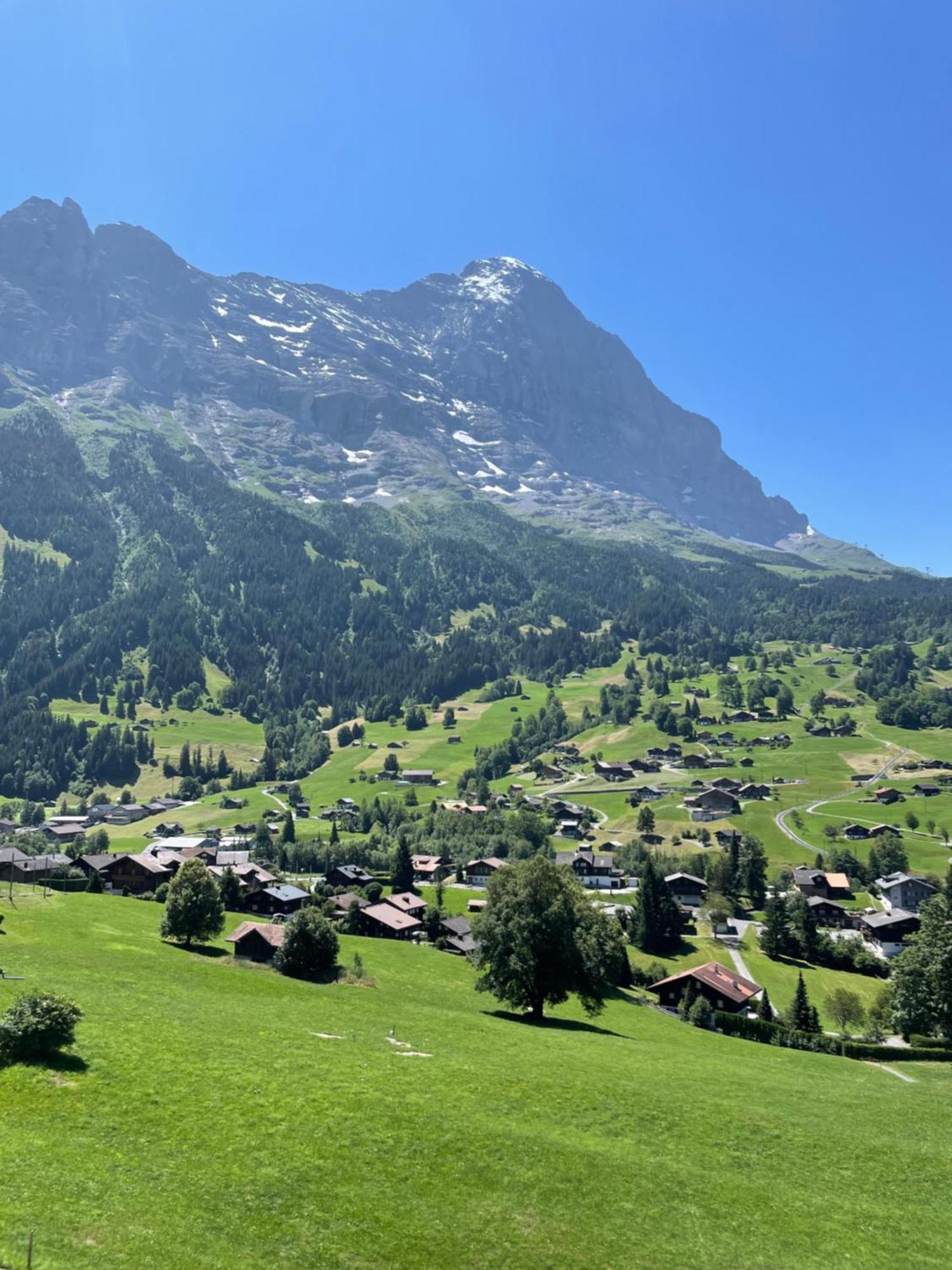 Double or Twin Room with Eiger View and Balcony