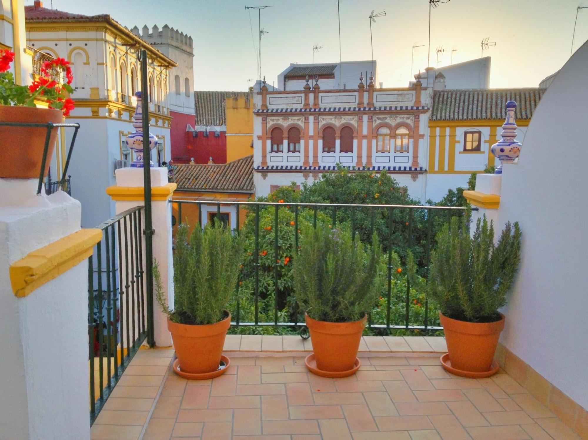 Junior Suite Terrace