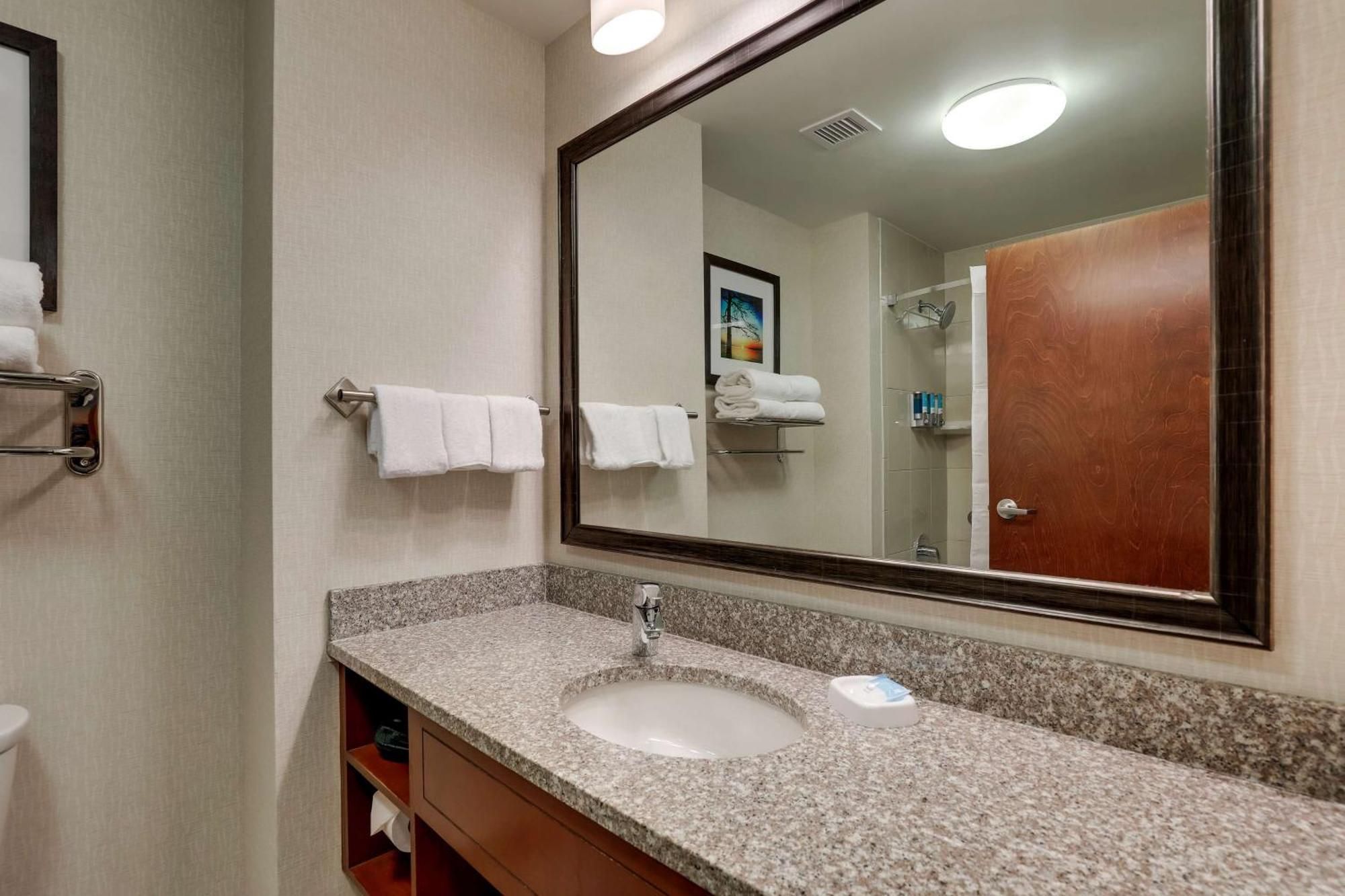 Deluxe King Suite – Hearing Accessible,1651209477:JPEG