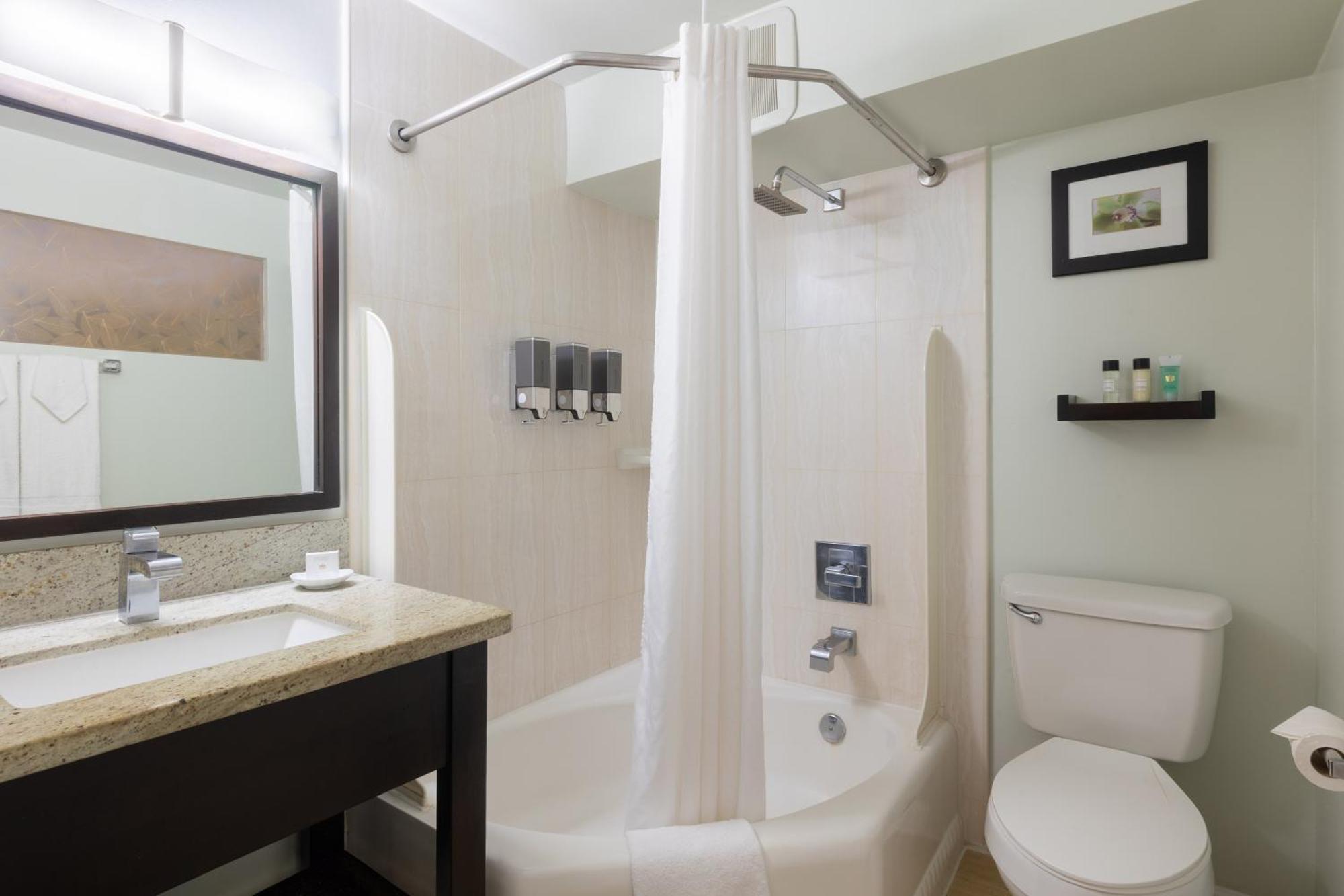 One Bedroom Suite