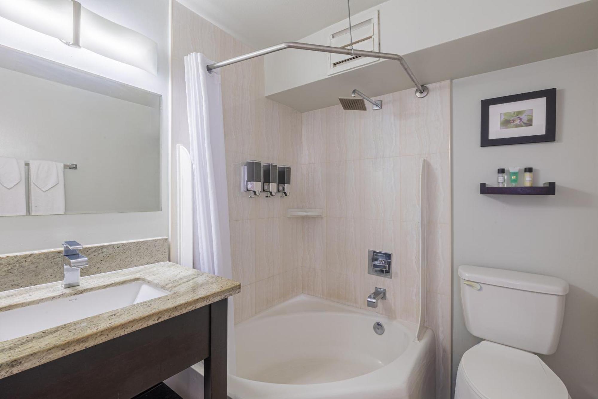 One Bedroom Suite City View