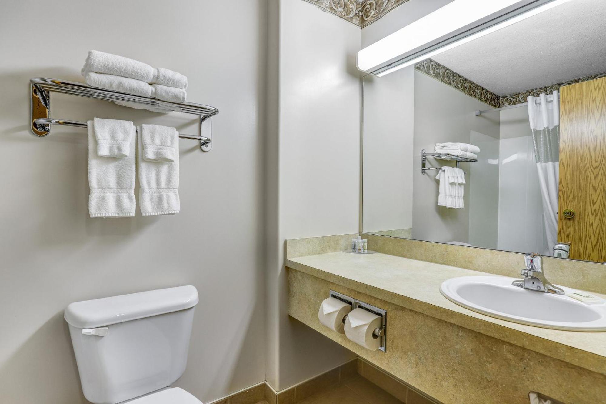 One-Bedroom Queen Suite