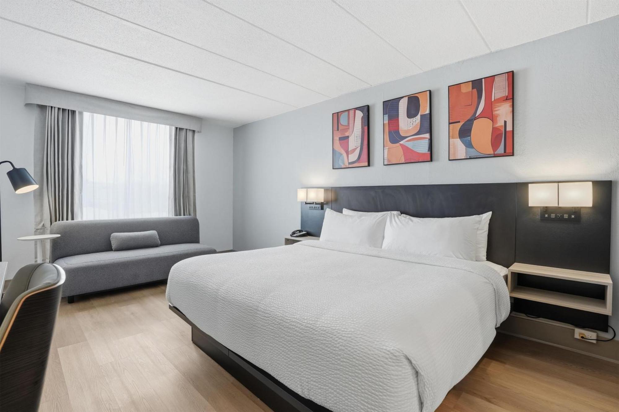 Large King Room Non-Smoking or Pet-Friendly