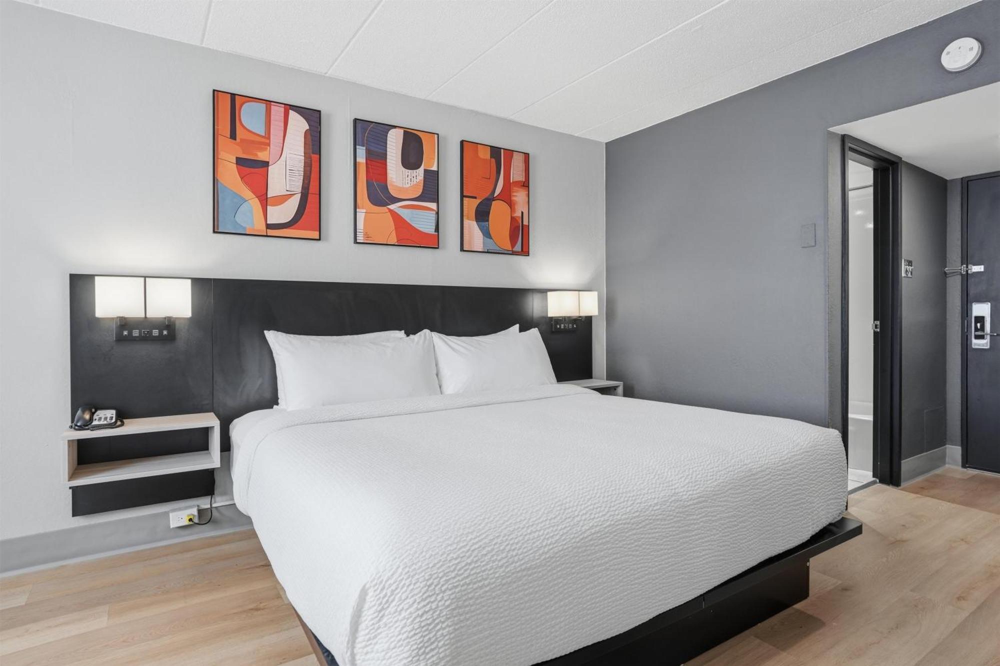King Room Non-Smoking or Pet-Friendly Room