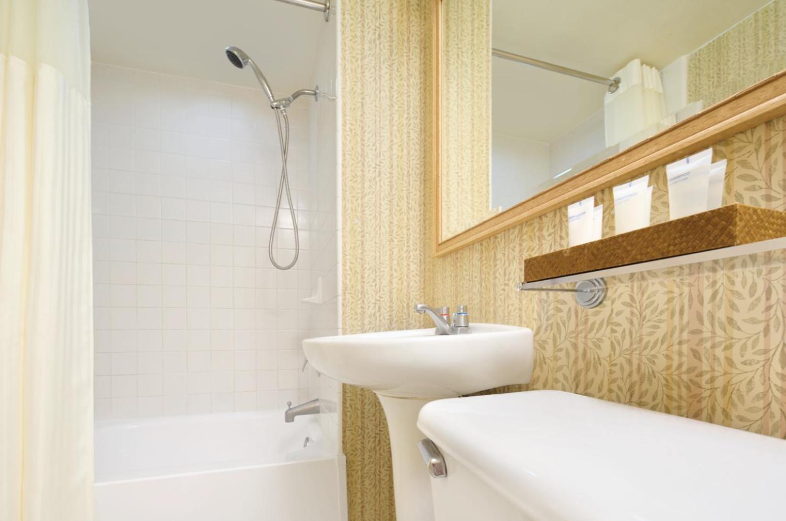 Studio met 1 Slaapkamer en 4 Aparte Bedden