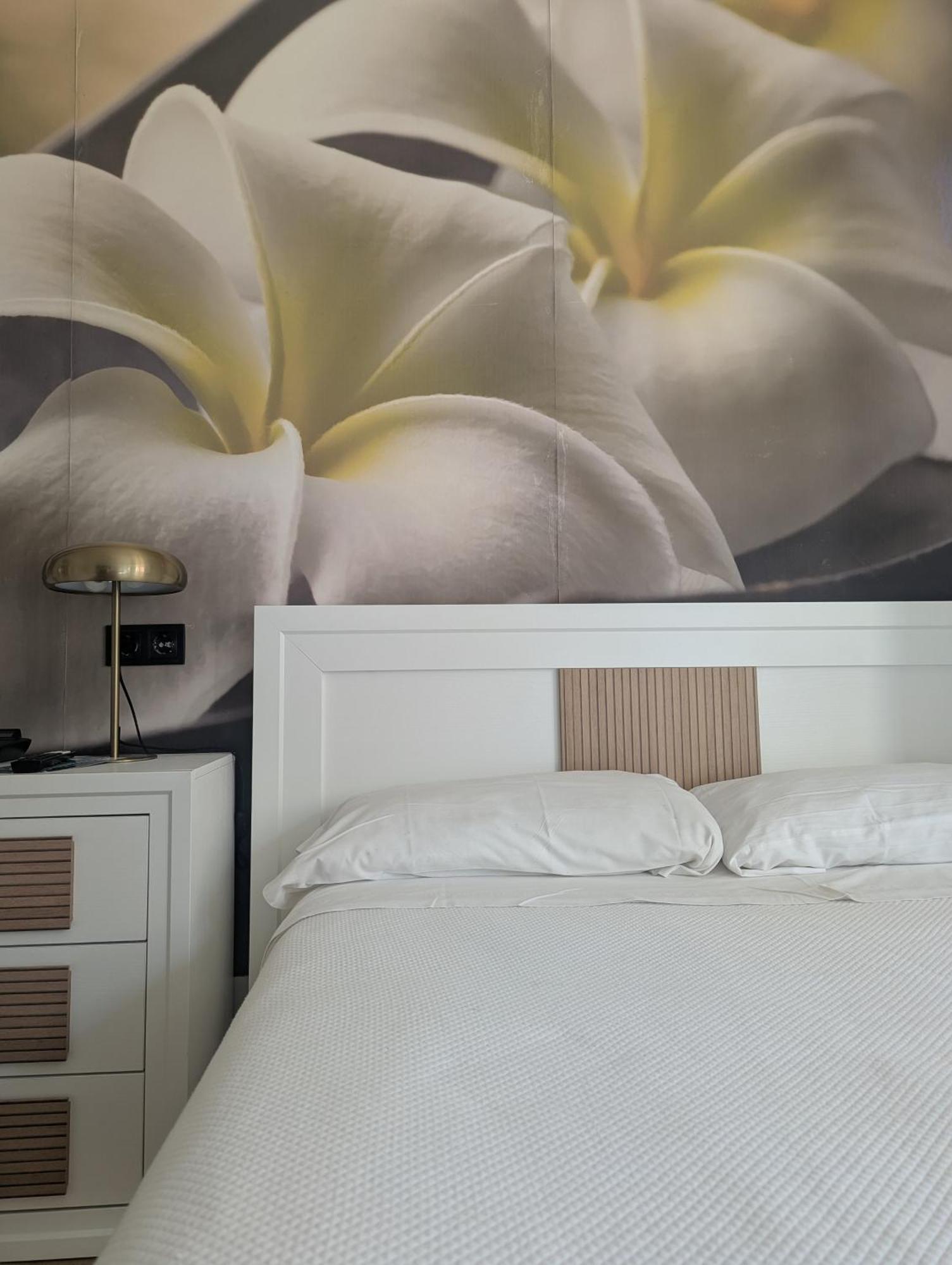 Double or Twin Room City View