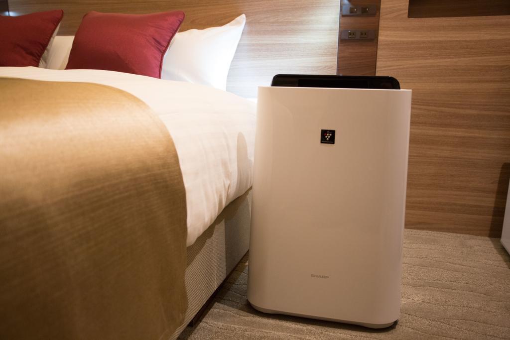 Single Room,829329713:JPEG