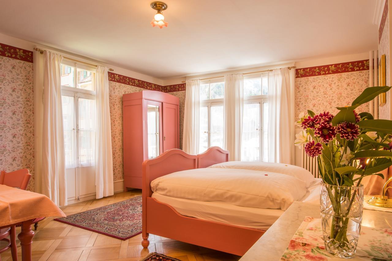 Superior Double or Twin Room Mountain View