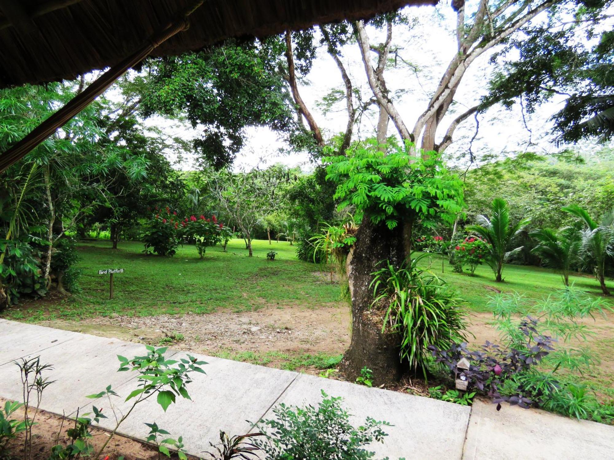 Bungalow