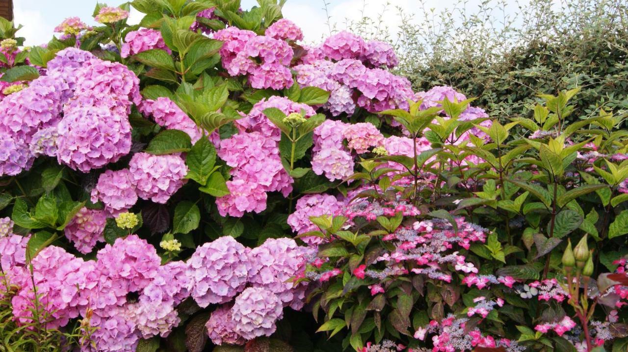 Chambre Familiale - Vue sur Jardin