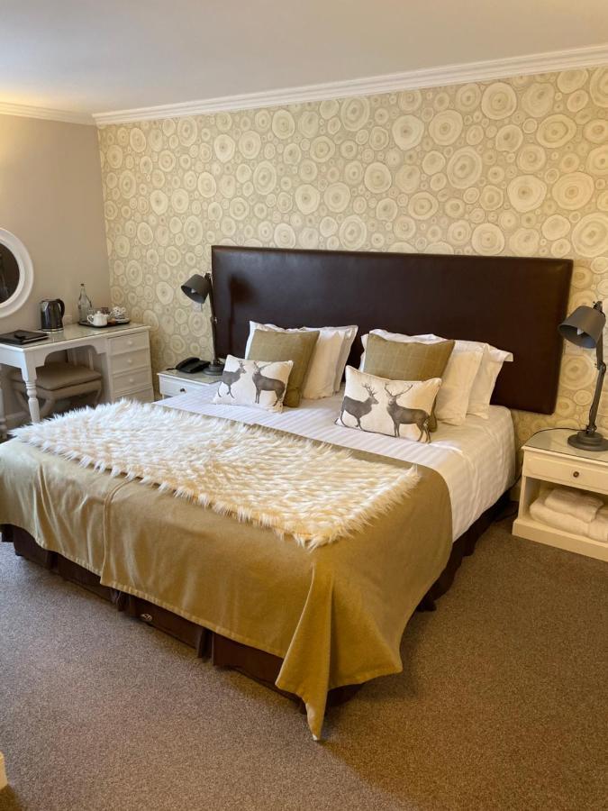 Double Room,982200595:JPEG