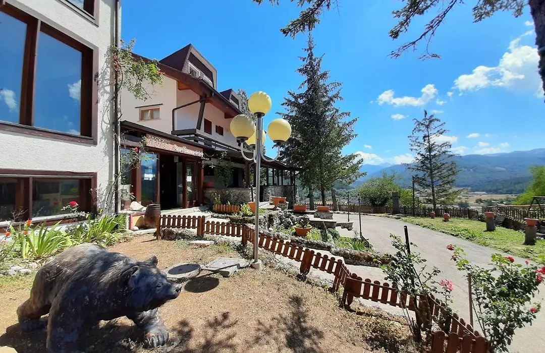 Hotel Orso Bianco-1