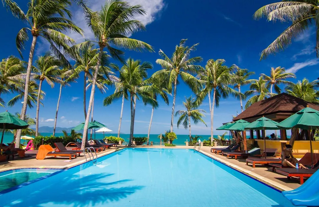 Coco Palm Beach Resort - Sha Extra Plus-1
