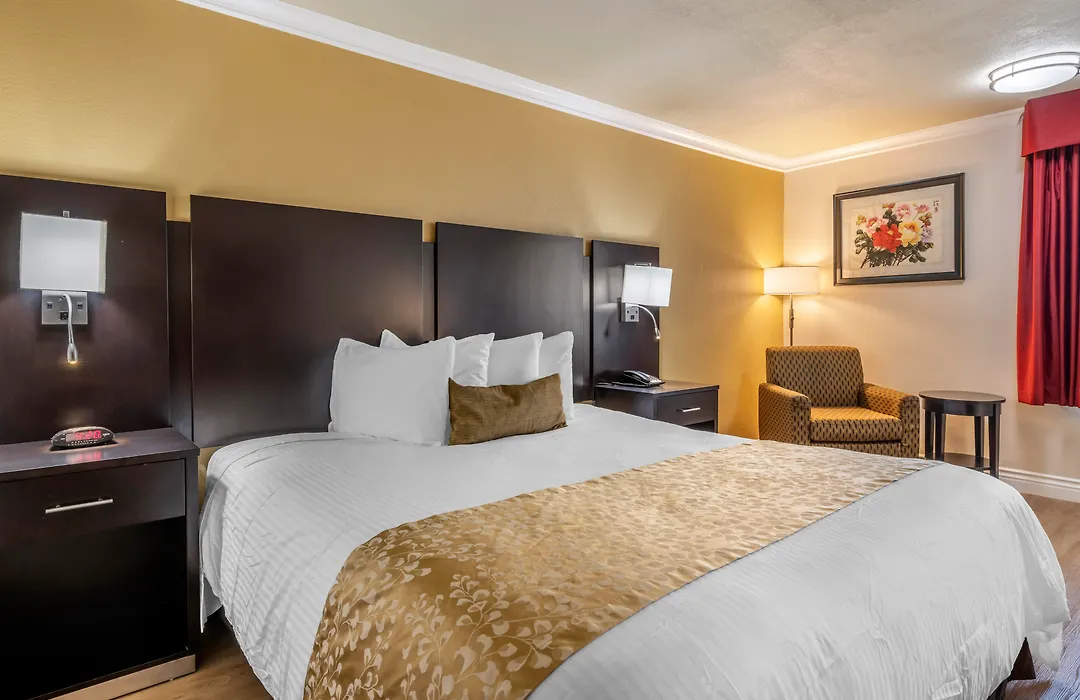 Best Western Plus South Bay Hotel-1