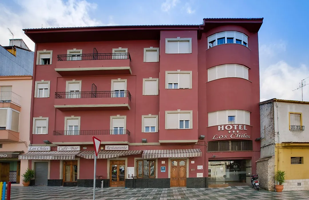 Hotel Los Chiles-1