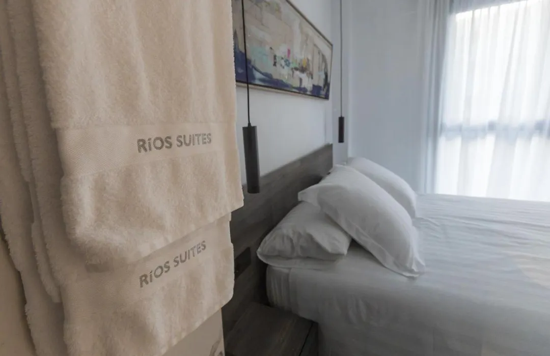 RÍOS SUITES Tudela-1