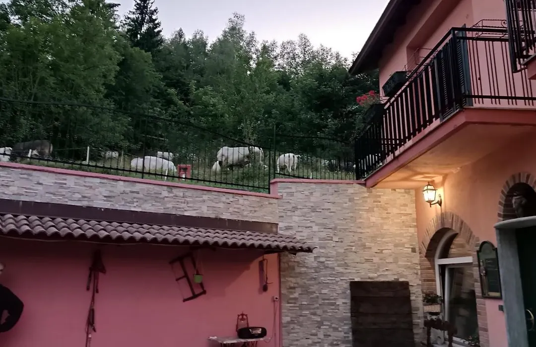 B&B Casa dell'Orso-1