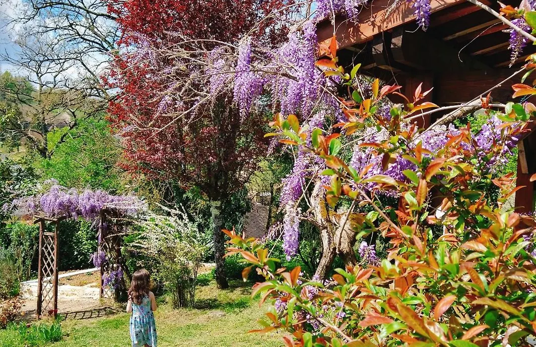La Colline - Chambre D'Hotes - B&B-1