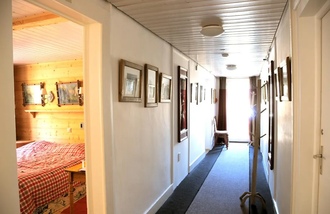 Historic Hotel Du Pillon-1