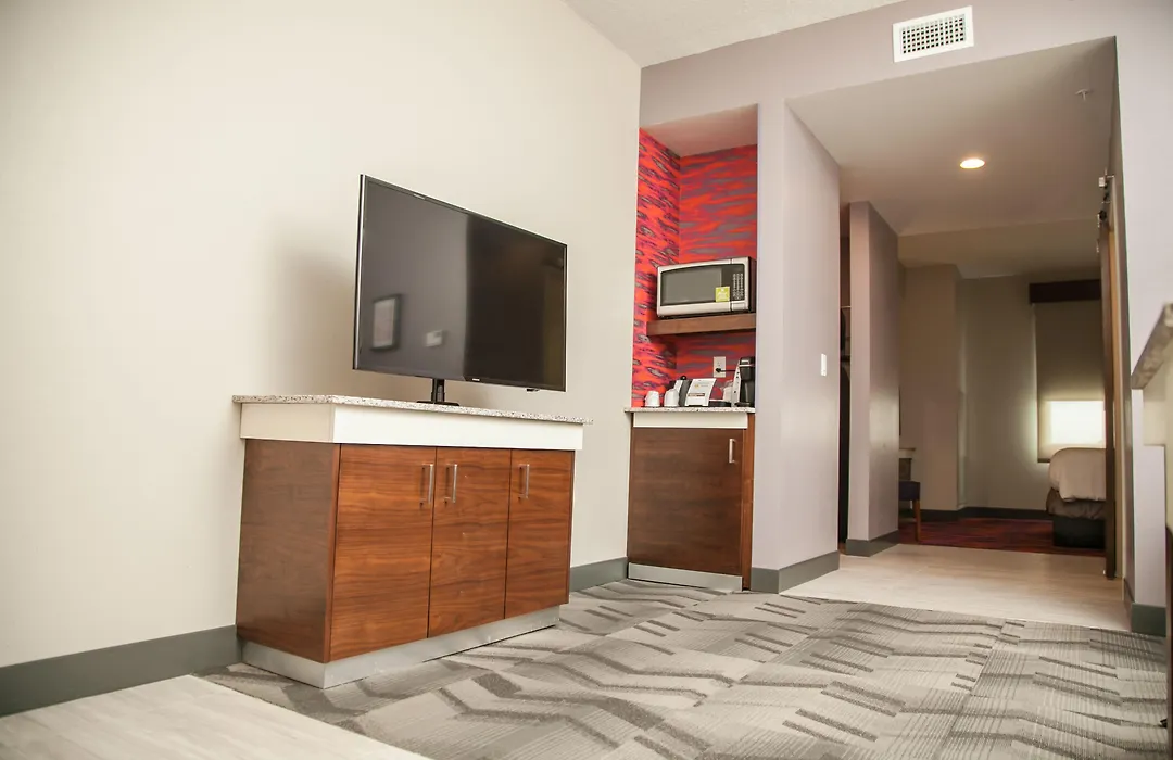Hilton Garden Inn Tampa Suncoast Parkway-1