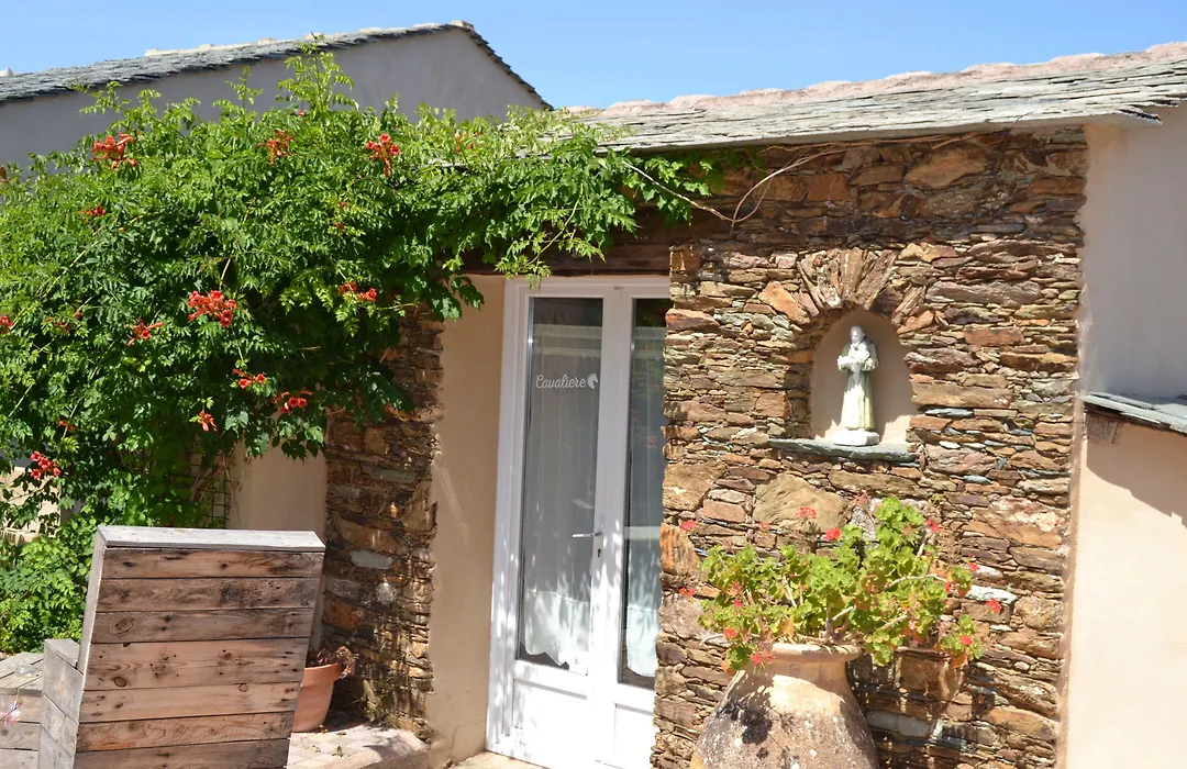 Casa Di Babbo-1