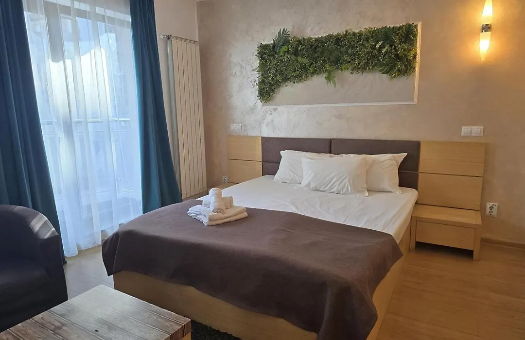 Decebal Residence Apartments-1