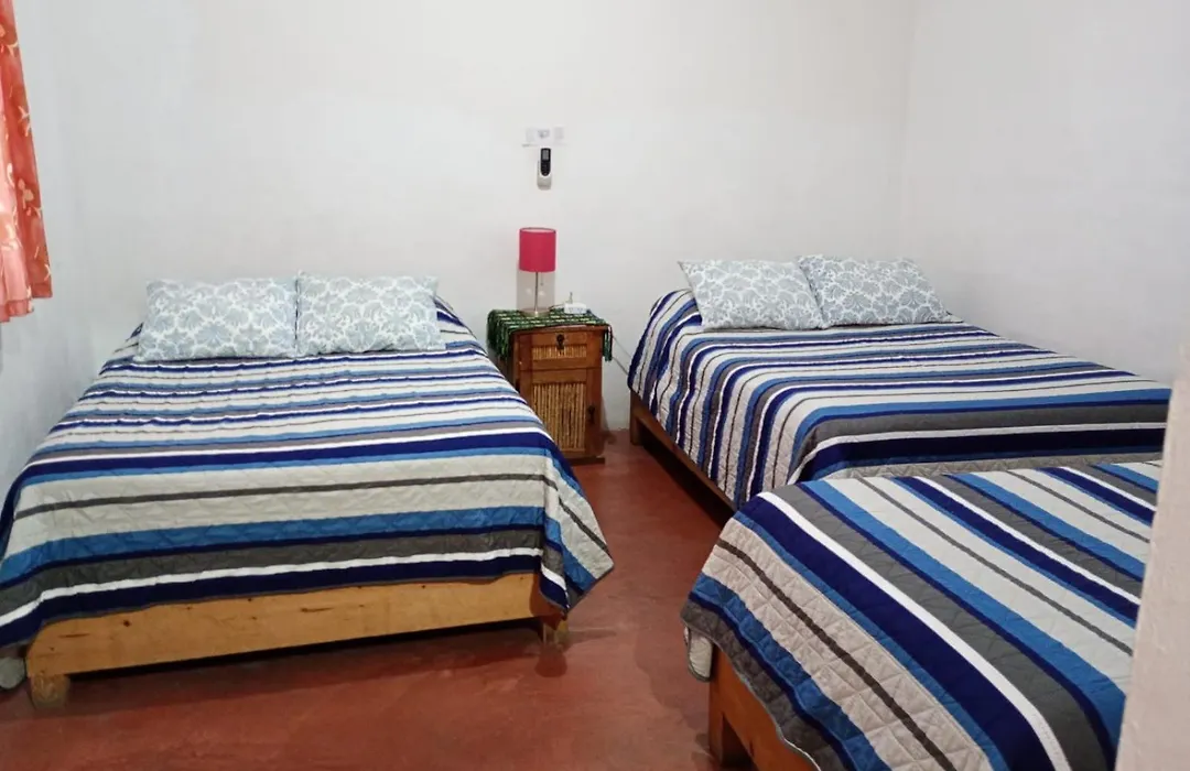 Pension Baja Paradise-1
