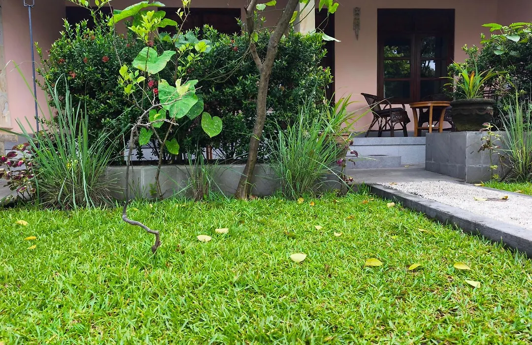 1000 Dream Bungalow-1