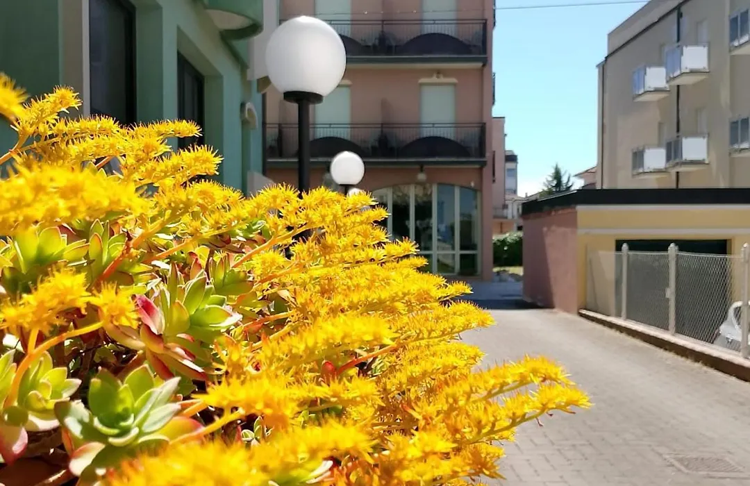 Hotel Anita B&B sul lungomare-1