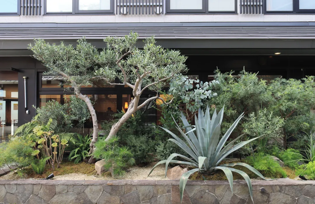 Hotel Glad One Kyoto Shichijo By M'S-1