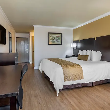 Best Western Plus South Bay Hotel-2