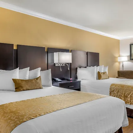 Best Western Plus South Bay Hotel-3