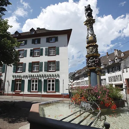 Spalenbrunnen Hotel & Restaurant Basel City Center-3