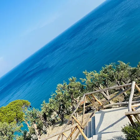 Eufonia del Mare-2