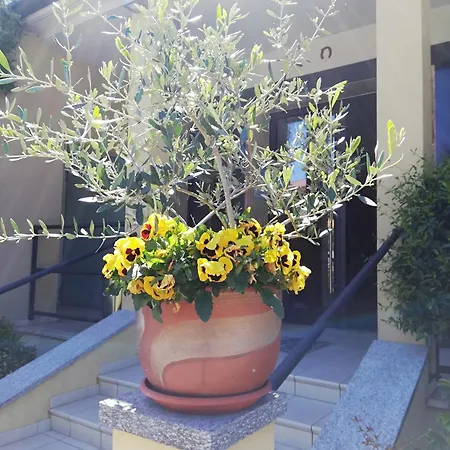 Hotel Fioroni-2