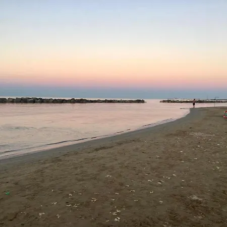 Alloro Marino-3