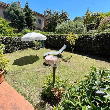 Alloro Marino-2