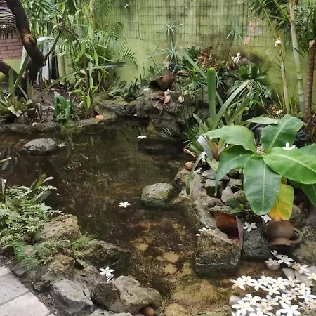 Pousada jardim de cabo branco-3