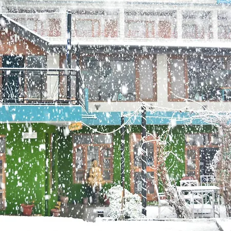 Hotel Neelgiri - Manali Diaries-3