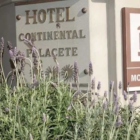 Hotel Continental Palacete-3