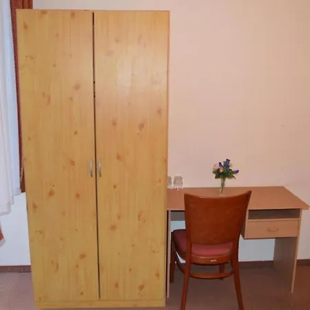 Hotel Pension Walzerstadt-3