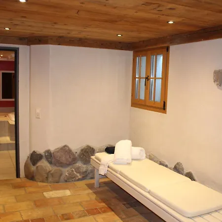 Hotel Alphorn-2