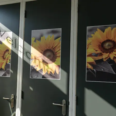 B&B Sunflower Leiden-2