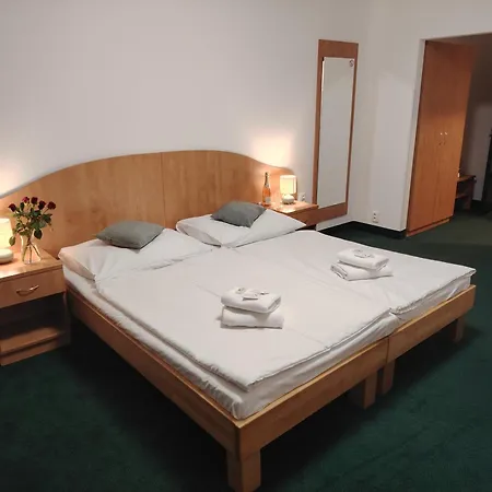 Hotel Legie-2