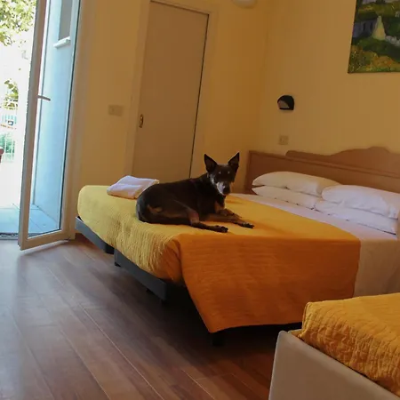 Pet Hotel Virginia - Hotel per cani-3