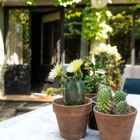 La Maison Sur La Colline-3