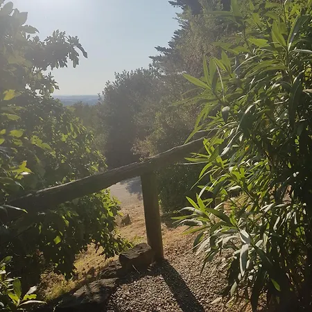 La Maison Sur La Colline-2